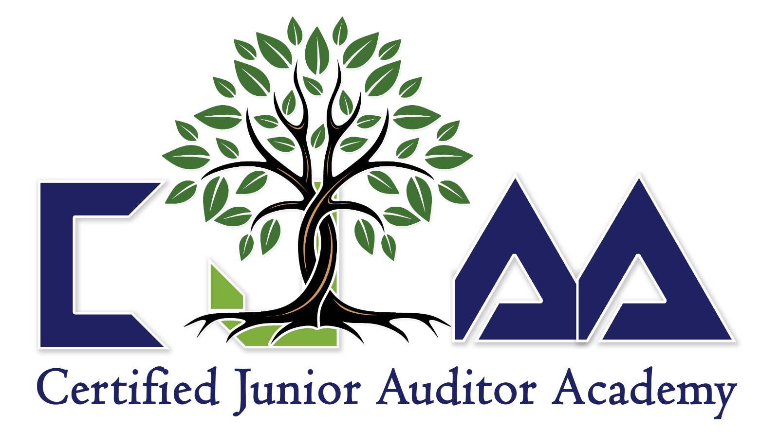 CERTIFIED JUNIOR AUDITOR ACADEMY